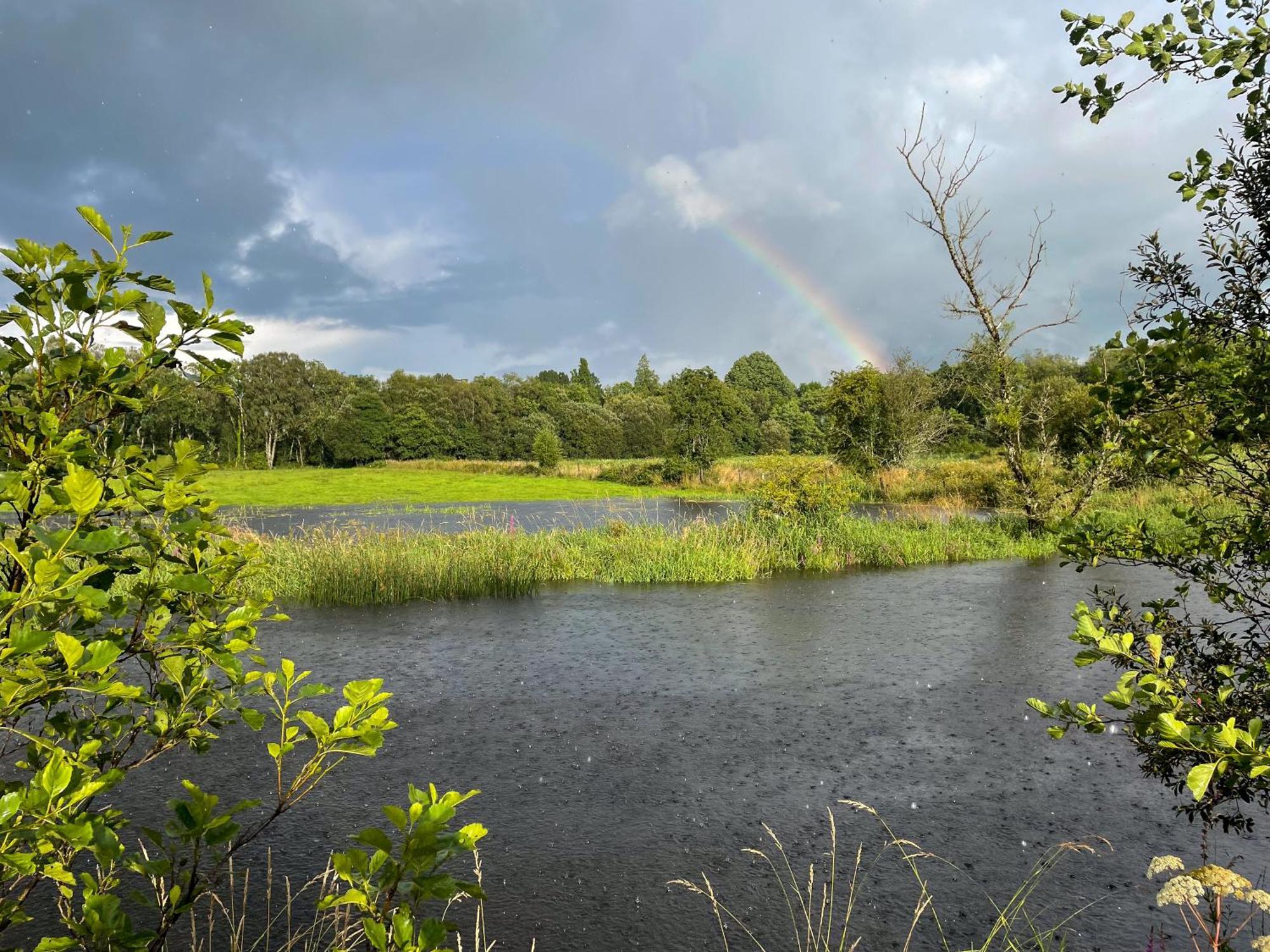 Lough Rynn Rental Mohill Exteriör bild