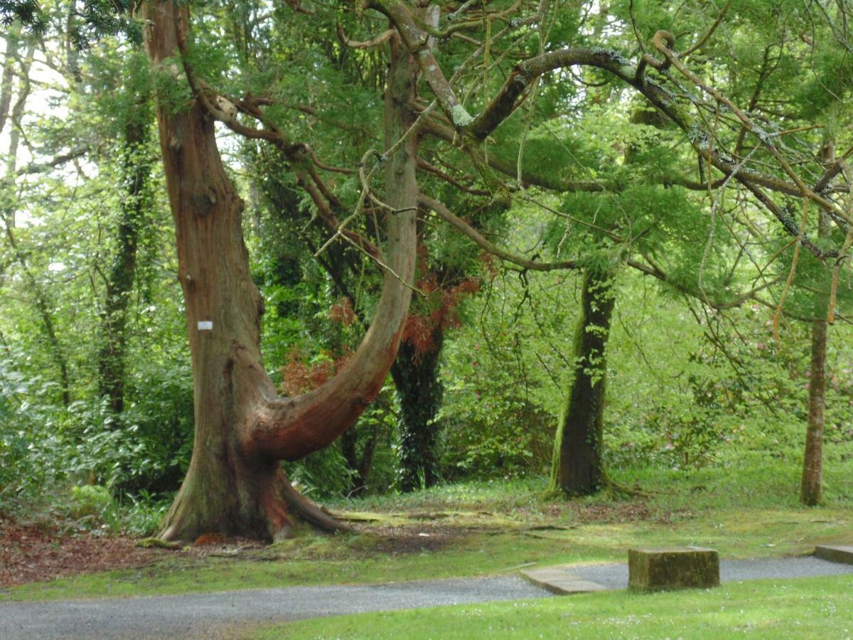 Lough Rynn Rental Mohill Exteriör bild